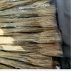 Fábrica de flores secas de espiga de trigo Yunnan mayoreo espiga de trigo abierta cebada flor seca decoración para el hogar ramo de flores secas de espiga de trigo transfronterizo