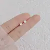 Pendientes de Plata de Ley 925 Estilo Nuevo Primavera Verano Pequeños Celebridad de Internet Douyin Más Vendidos Pendiente Simple Moderno Estudiante Mujer Noche
