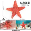 Simulação de Animal Marinho Peixe Modelo Brinquedo Salmão Salmão Robalo de Boca Grande Atum Aquário Paisagem Decoração