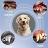 Limpiador Ultrasónico de Dientes para Mascotas, Eliminador de Sarro Dental para Perros, Herramienta Oral, Dispositivo Eléctrico de Limpieza Dental, Limpiador