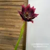 Flor de dragão antiga artificial, material EVA de alta qualidade, para decoração de casa, arranjos florais, decoração de maquete e adereços de fotografia