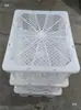 Cesta de frutas para lixo com buraco cesta quadro de frutas descartável transporte lichia pombo Guangzhou expresso de volume frutos do mar